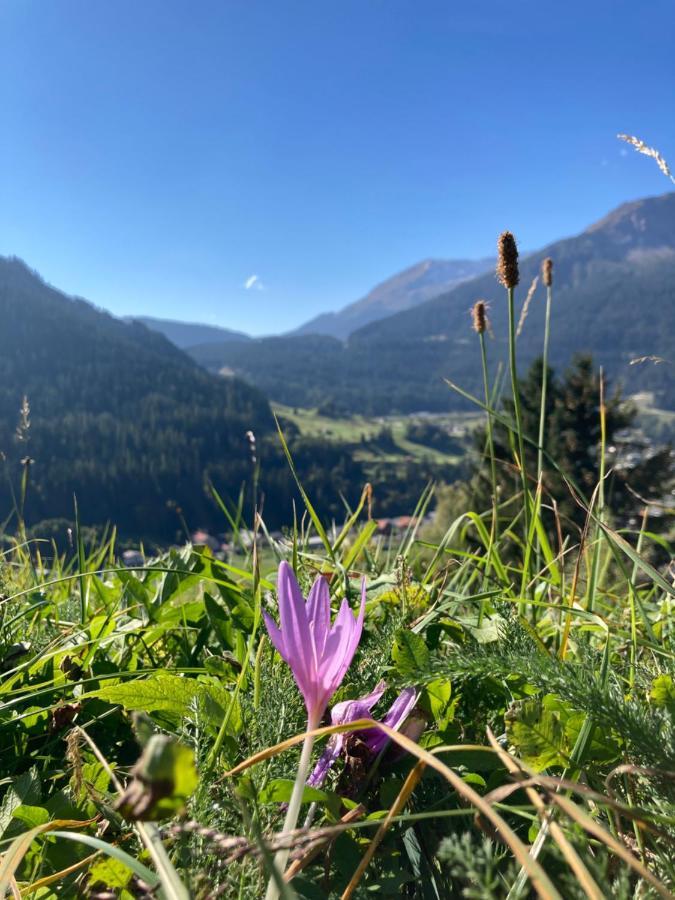 Fewo Gotschna Haus Bargis Klosters Εξωτερικό φωτογραφία